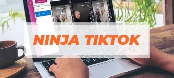 Phần mềm tăng follow Tiktok, tăng tương tác tiktok Ninja Tiktok