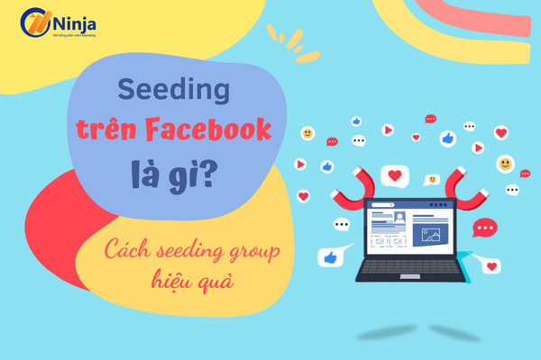 Seeding trên facebook là gì? Cách seeding group hiệu quả